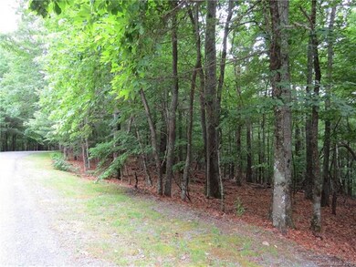 Wooded Lot w Paved Rd