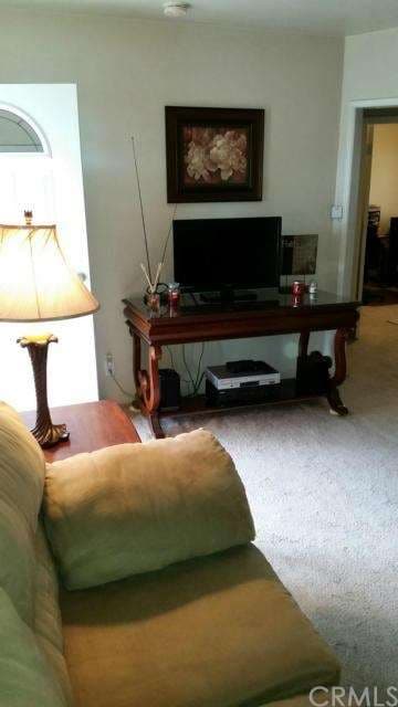 Living Room Area