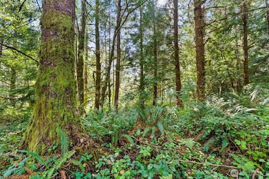 0 Rixon Rd unit NWM2443833, South Bend, WA 98586 - photo 5