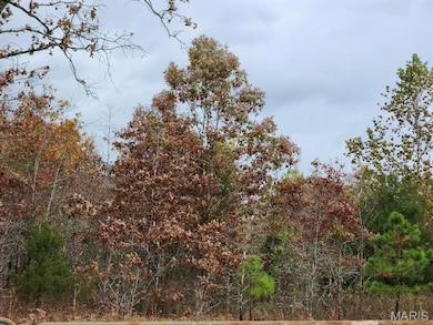 0 Carter Route 266 unit MAR24069627, Grandin, MO 63943 - photo 3