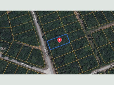 308 S Pine Ridge Dr, Horseshoe Bend, AR 72512 - photo 2