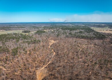 DJI_20240321134719_0135_D