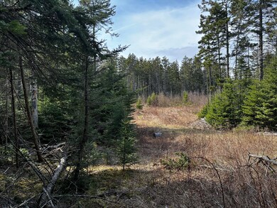 clearing