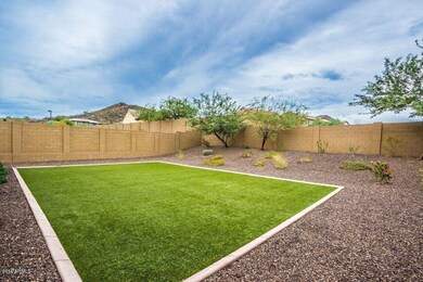 6 Large Back Yard