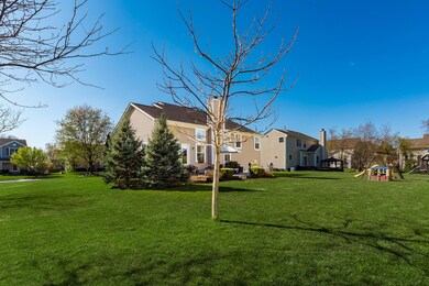 Back Yard Offers Plenty of Space