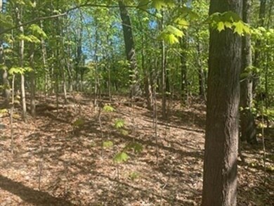 L67 Bay Rd, Amherst, MA 01002 - photo 3