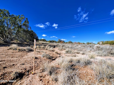Parcel 1 W Shumway Rd, Taylor, AZ 85901 - photo 4