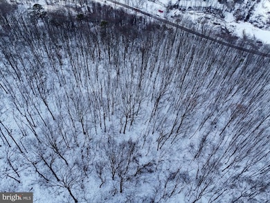 0 Cubbage Hollow Rd Lot 75 - 40 55 Acres, Stanley, VA 22851 - photo 6