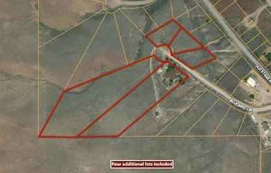 112 W Bluebird Cir, Salmon, ID 83467 - photo 5