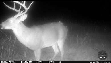 370 Tavern Creek Rd, Iberia, MO 65486 - photo 3