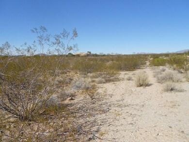 22410 W El Grande Trail unit 41, Wickenburg, AZ 85390 - photo 6