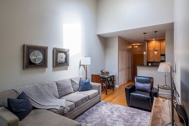 The Basilica unit 209, Charlestown, MA 02129 - photo 3