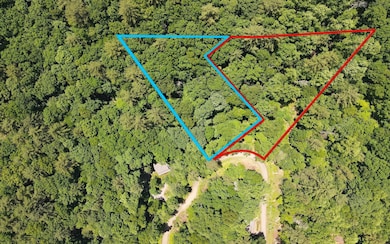 TR 2 Cindy Cove Rd, Blairsville, GA 30511 - photo 2