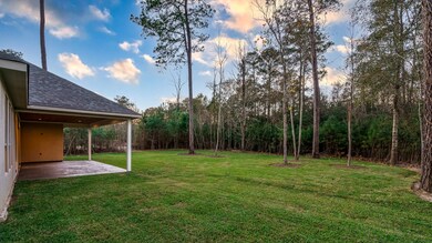 25127 E Tara Plantation Dr, Tomball, TX 77375 - photo 7