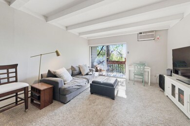 380 Ramsey St unit 1B, Saint Paul, MN 55102 - photo 6