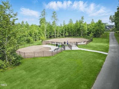 Dog Park 1