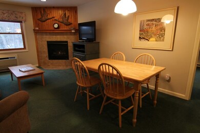164 Deer Park Dr unit 166D, Woodstock, NH 03262 - photo 6