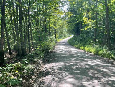 491 Whitneyville Rd, Halifax, VT 05358 - photo 7