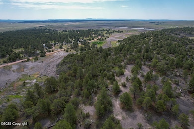 dji_fly_20250627_093232_785_175103874249