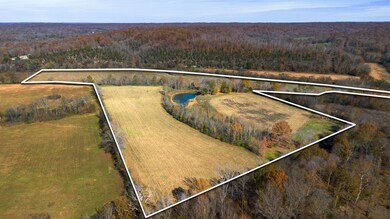 0 Stringfellow Rd, White Bluff, TN 37187 - photo 7