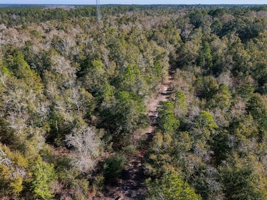 xx-004 State Rd, Bruce, FL 32455 - photo 7