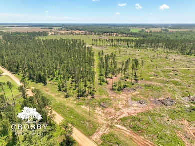 0 W Quaker Rd unit 25649767, Keysville, GA 30816 - photo 3