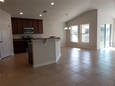 18668 Hunters Meadow Walk, Land O' Lakes, FL 34638 - photo 7