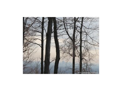 1918 Apple Blossom Dr unit Lot 9, Floyds Knobs, IN 47119 - photo 4