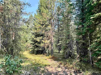 2.5 High Valley Rd, Cascade, ID 83611 - photo 4