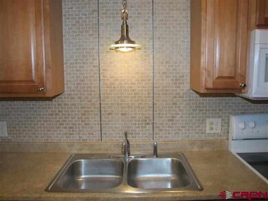 0 Holly Ave unit 302 674212, Durango, CO 81301 - photo 7