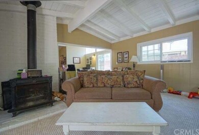 Wood burning firestove in family room