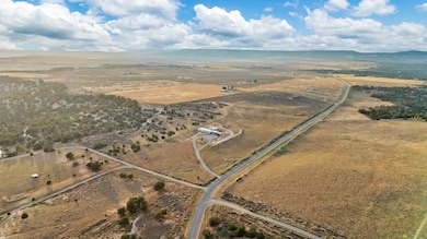 479 S 16 1 2 Rd, Glade Park, CO 81523 - photo 2