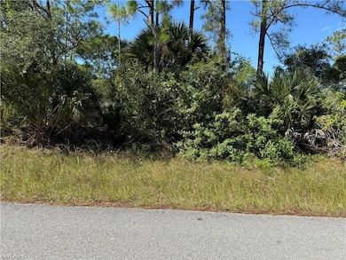 View of undeveloped land