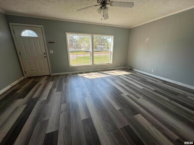 413 Walnut St, Zeigler, IL 62999 - photo 5