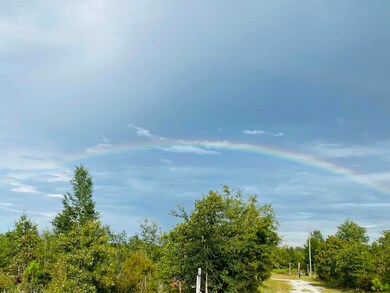 182 Ashley Hall Rd, Crawfordville, FL 32327 - photo 5