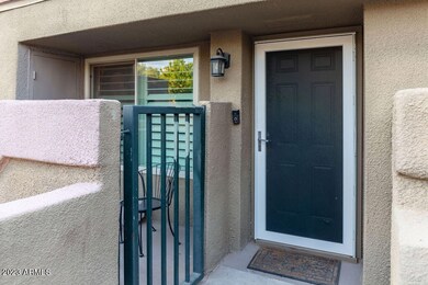 Gated Patio New Screen Door