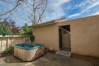 Backyard1