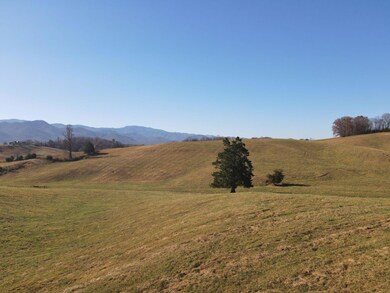 DJI_0534