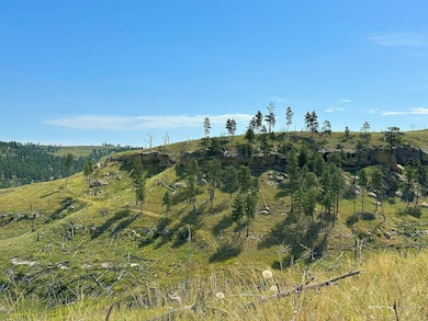 0 Buckskin Rd, Roundup, MT 59072 - photo 3