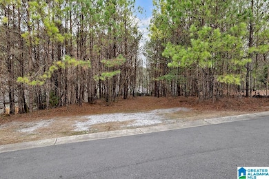 495 Scenic View Ln unit 15A, Birmingham, AL 35244 - photo 7