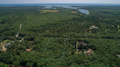 501 W Tisbury Rd, Edgartown, MA 02539 - photo 2