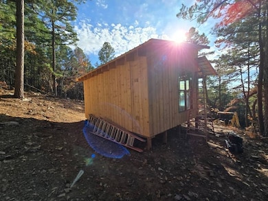 5 Tbd Black Bear Rd, Howe, OK 74940 - photo 5