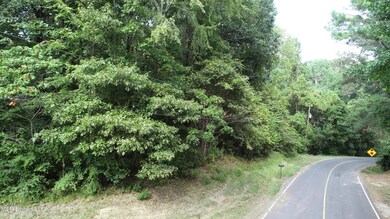 11015 Horseshoe Bend, Hernando, MS 38632 - photo 2