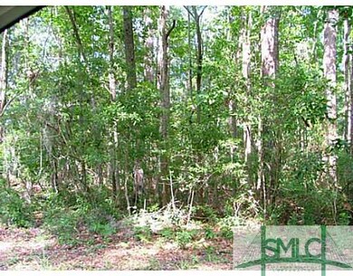 Land/Lot. Potential for one home or many with 24 h