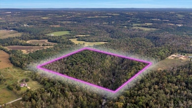 1130 County Road 376, Pisgah, AL 35765 - photo 7