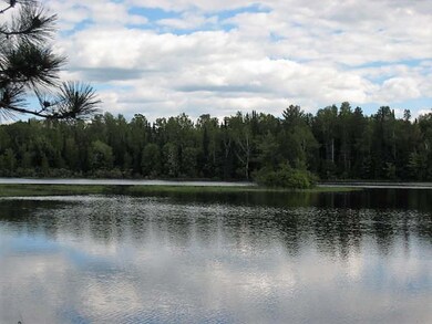 61 acres Hwy 86, Tomahawk, Wi, WI 54487 - photo 5
