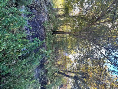 0 Vance unit 66281243, Houston, TX 77016 - photo 6