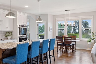 62 Rapp Farm Blvd, North Oaks, MN 55127 - photo 4