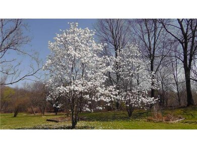 Land/Lot. Magnolia Trees in Bloom!