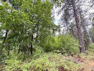 3611 W Rosamond Ave, Spokane, WA 99224 - photo 3